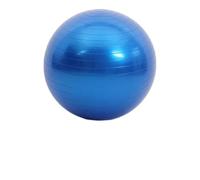 Balance Trainer 45-95CM Anti-Burst Yoga Ball Thickened Exercise for Pilates Balance