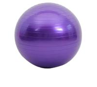 Balance Trainer 45-95CM Anti-Burst Yoga Ball Thickened Exercise for Pilates Balance