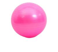 Balance Trainer 45-95CM Anti-Burst Yoga Ball Thickened Exercise for Pilates Balance