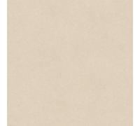 Balanced Light Beige 2.5mm Vinyl Flooring Plain Effect Plank For Domestic & Light Office Use-7M(23') X 2M(6'6")-14M²