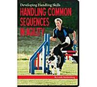 Balancing Cues in Agility