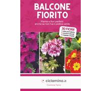 Balcone Fiorito: Piante e fiori perfetti anche se non hai il pollice verde