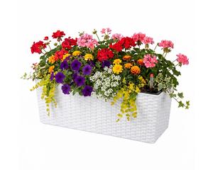 Balcony planter, window box, flower tub, plant trough, self-watering water gauge