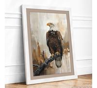 Bald Eagle at Rest Rustic Framed Wall Art Print A2 (59.4×42cm) White, Wall Decor for Living Room, Bedroom, Office & Home, Ready to Hang, Art Gift