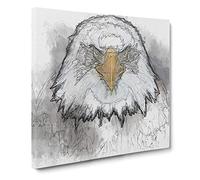 Bald Eagle Bird Canvas Print | Gallery Wrapped 30mm Frame Wall Art | 20x20 inches | Ready to Hang | Modern Animals Picture | Living Room Bedroom Lounge Office