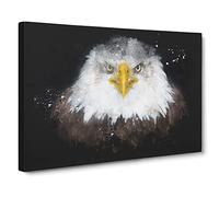 Bald Eagle Bird Paint Splash Canvas Print | Gallery Wrapped 30mm Frame Wall Art | 30x20 inches | Ready to Hang | Modern Animals Picture | Living Room Bedroom Lounge Office