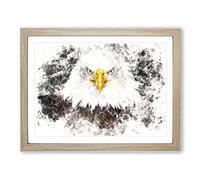 Bald Eagle Bird Watercolour Modern Framed Wall Art Print, Ready to Hang Picture for Living Room Bedroom Home Office Décor, Oak A2 (64 x 46 cm)