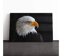 Bald Eagle Canvas Print | Gallery Wrapped 30mm Frame Wall Art | 24x16 inches | Ready to Hang | Modern Animals Picture | Living Room Bedroom Lounge Office