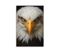Bald Eagle Close Up Portrait Wall Art USA Patriotic Prints Poster20x30inch | Decorative Artwork for Living Room Bedroom Office Hallway Entryway Apartment Home Decor and Modern Interior Decoration Styles