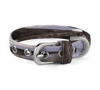 Bald Eagle Dog Collar Adjustable Pet Collar Stainless Steel D-Ring Collar Oxford Cloth Cat Collar Strap with Metal Buckle for Small Medium Dog