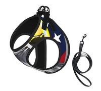 Bald Eagle Flag Print Dog Harness,Pet Leash Vest For Small To Medium Dogs,Perfect For Outdoor Adventures