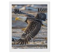 Bald Eagle Flying Diamond Painting Kits for Adults Beginners 16x20 Full Drill Diamond Art with DIY Tools Round 5d Diamonds Dots Crafts Gem Art Paint by Diamonds for Home Wall Decor Relaxing Gift