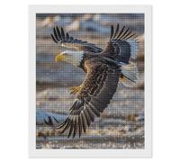 Bald Eagle Flying Diamond Painting Kits for Adults Beginners 16x20 Full Drill Diamond Art with DIY Tools Square 5D Diamonds Dots Crafts Gem Art Paint by Diamonds for Home Wall Decor Relaxing Gift
