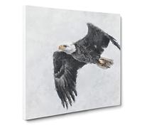 Bald Eagle High in the Sky Canvas Print | Gallery Wrapped 30mm Frame Wall Art | 14x14 inches | Ready to Hang | Modern Animals Picture | Living Room Bedroom Lounge Office