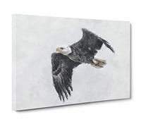 Bald Eagle High In The Sky Canvas Print | Gallery Wrapped 30mm Frame Wall Art | 24x16 inches | Ready to Hang | Modern Animals Picture | Living Room Bedroom Lounge Office