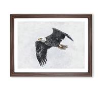 Bald Eagle High In The Sky Painting Modern Art Framed Print | A4 Walnut Framed Wall Art | Ready to Hang | Modern Animal Picture | Living Room Bedroom Lounge Office