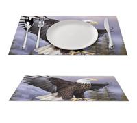 Bald Eagle Placemat, 4 PCS PVC Placemats Washable Non-Slip Place Mats for Dining Table, Wipeable Table Mat for Party Kitchen Dining Decor