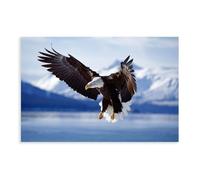 Bald Eagle Poster Wild Animals Art HD 1 Canvas Poster Bedroom Decor Landscape Office Room Decor Gift Unframe-style 20x30inch(50x75cm)