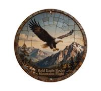 Bald Eagle Rocky Mountains Flight Metal Tin Sign Plaque
