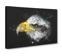 Bald Eagle Vol.1 Paint Splash Canvas Print | Gallery Wrapped 30mm Frame Wall Art | 30x20 inches | Ready to Hang | Modern Animals Picture | Living Room Bedroom Lounge Office