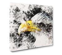 Bald Eagle Vol.1 Watercolour Canvas Print | Gallery Wrapped 30mm Frame Wall Art | 14x14 inches | Ready to Hang | Modern Animals Picture | Living Room Bedroom Lounge Office