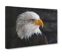 Bald Eagle Vol.2 Canvas Print | Gallery Wrapped 30mm Frame Wall Art | 30x20 inches | Ready to Hang | Modern Animals Picture | Living Room Bedroom Lounge Office