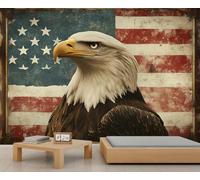 Bald Eagle Wall Murals, Eagle Mural, American Flag Wallpaper for Living Room Bedroom Study TV Background Decor - 300x210cm