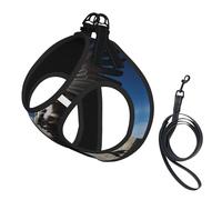 Bald eagle2 Print Small Dog Harness with Leash Set, No Escape Easy Walk Puppy Harnesses for Training Walking