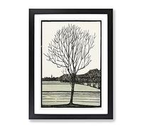 Bald Tree By Julie De Graag Classic Painting Framed Wall Art Print, Ready to Hang Picture for Living Room Bedroom Home Office Décor, Black A2 (64 x 46 cm)