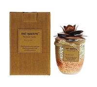 Bali Mantra Camellia Glass Copper Candle 500g - Redcurrant