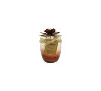 Bali Mantra Hibiscus Glass Copper Redcurrant Candle 500g