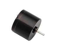 Ball Bearing Big 20mm*16mm Coreless electronic starter DC 12V 12000RPM High Speed Strong Magnet Mute Tattoo Machine Replace Maxon MQXFCZUX