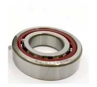 Ball Bearings Precision Machine Tool Angular Contact Ball Bearings 7300 7301 7302 7303 7304 7305 7306 DF P4 P5 Bearings Skateboarding(P5,7304 20x52x15)