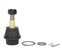 Ball Joi MOOG AMGK7411 for RAM 2500 Pickup (D1, DC, DH, DM, DR) 5.9 2002-2009