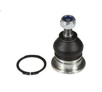 Ball Joi MOOG HO-BJ-10953 for HONDA ACCORD VII N) 2 2003-2008