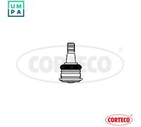 CORTECO 49399505 Ball Joint