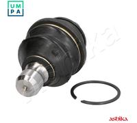 ASHIKA 73-01-136 Ball Joint