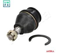 ASHIKA 73-02-255 Ball Joint