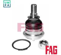 FAG 825 0034 10 Ball Joint