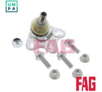 FAG 825 0078 10 Ball Joint