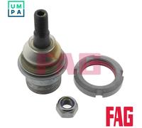 FAG 825 0079 10 Ball Joint
