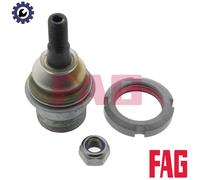 FAG 825 0079 10 Ball Joint