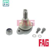 FAG 825 0154 10 Ball Joint