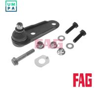 FAG 825 0163 10 Ball Joint