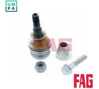 FAG 825 0249 10 Ball Joint