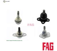 FAG 825 0439 10 Ball Joint
