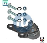 Wishbone Pin Front Axle both sides 93-90640-056 RTS for FORD FOCUS I