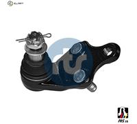 RTS FRONT RIGHT BALL JOINT 93925551 FOR TOYOTA