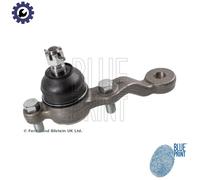 Blue Print ADT38656 LOWER BALL JOINT