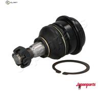 ASHIKA 73-01-118 Ball Joint